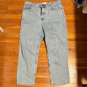 Everlane Classic Blue Denim Jeans